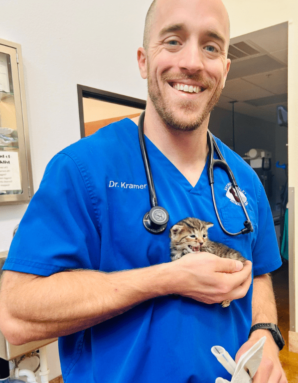 Dr. Kramer Gopffarth holding a kitten