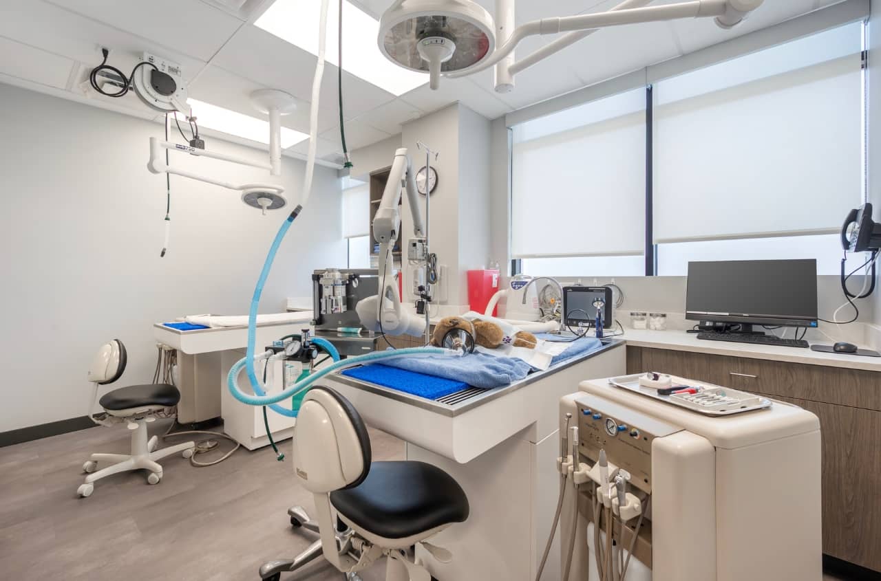 Empty dental service room with stuffed animal on table