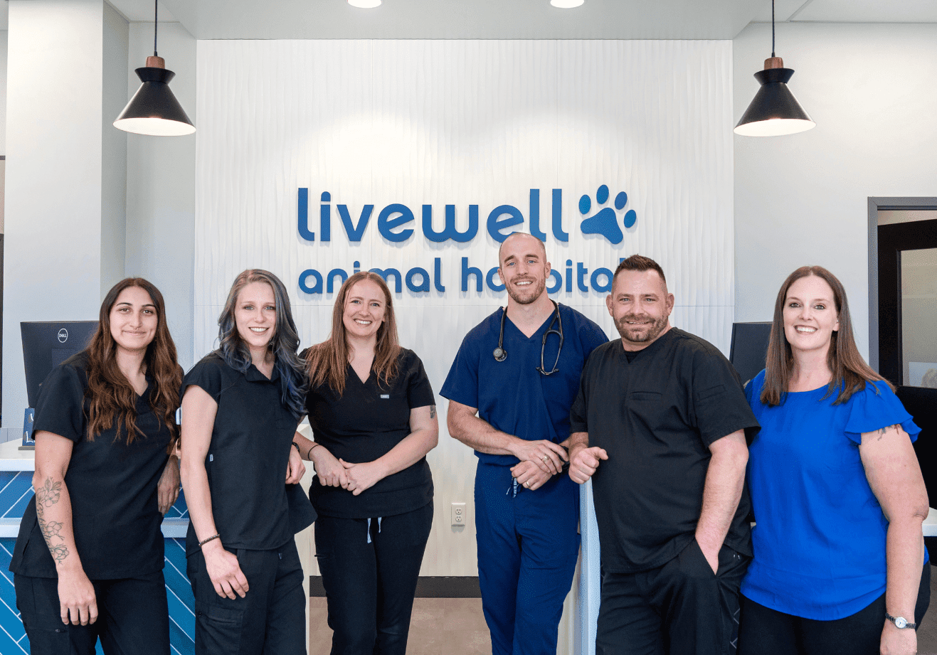 Livewell Animal Hospital of RiNo Team