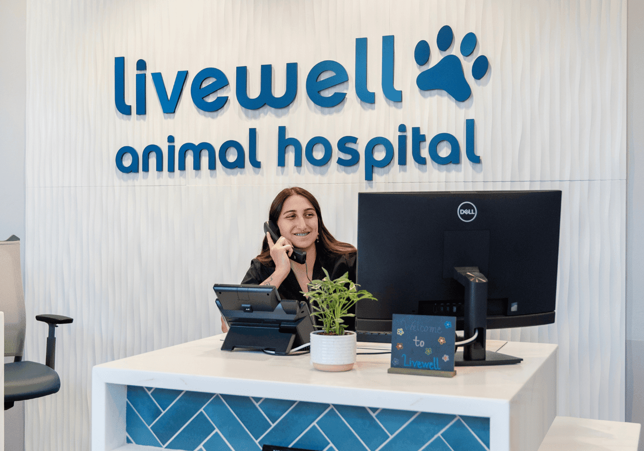 Livewell Animal Hospital of RiNo Receptionist